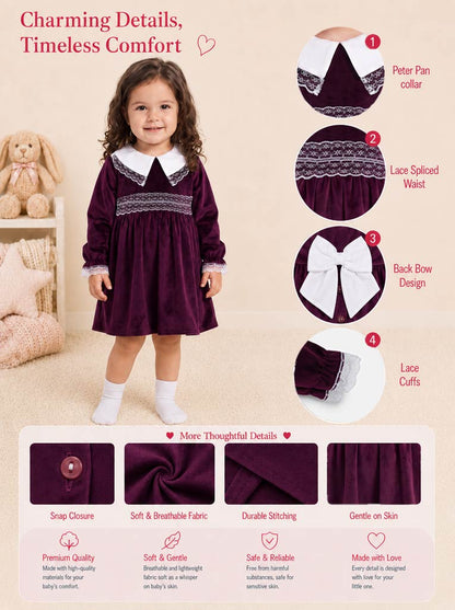 Baby Girl Celeste Collection Velvet Dress - Burgundy