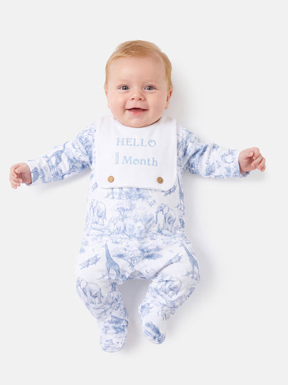 "Hello 1,3,6,12 Months" Embroidered Baby Grow with Attached Small Bib - Safari Collection - Baby Blue