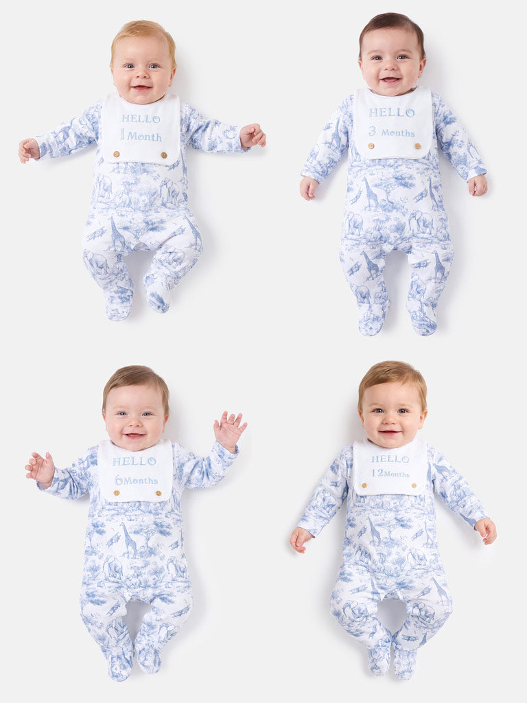 "Hello 1,3,6,12 Months" Embroidered Baby Grow with Attached Small Bib - Safari Collection - Baby Blue